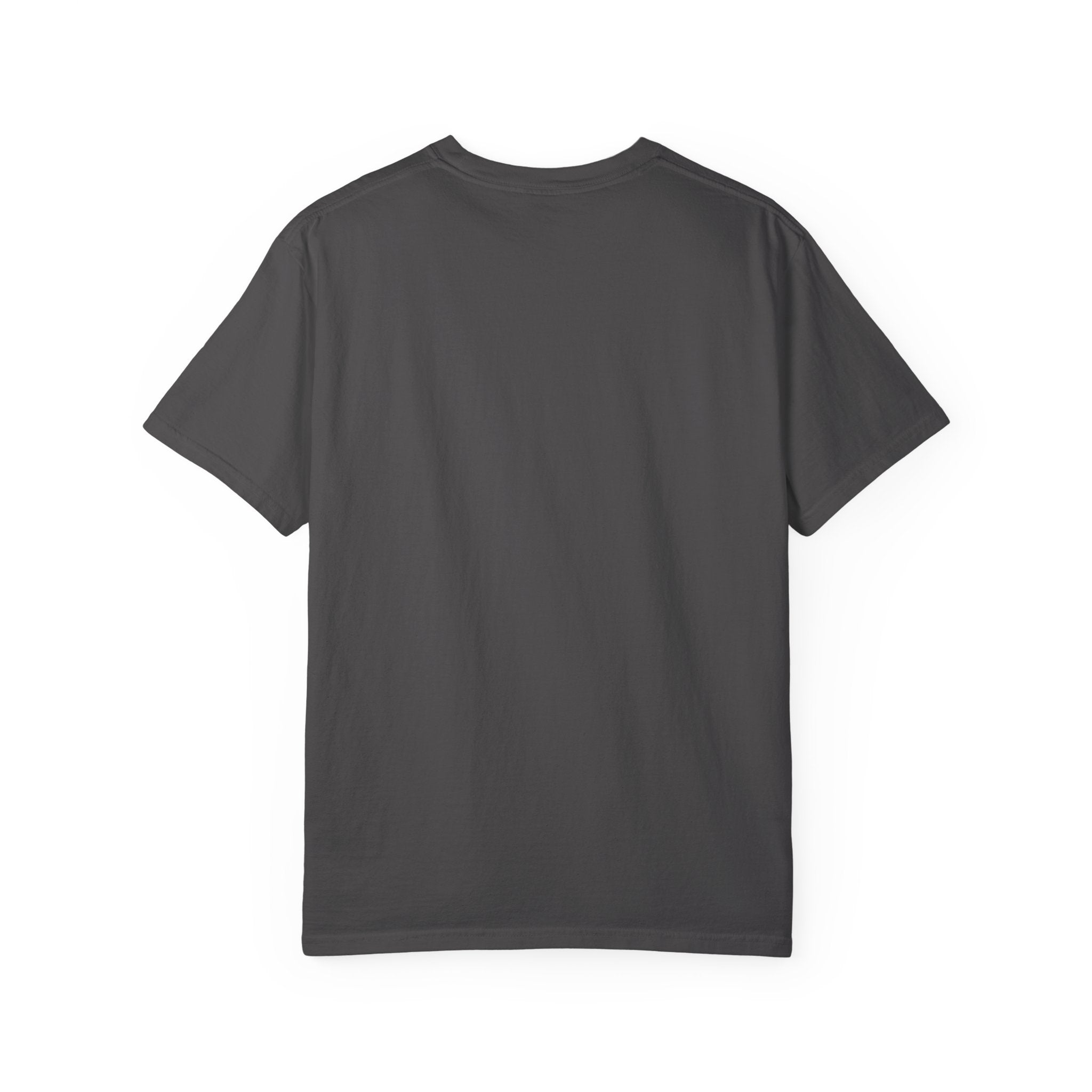 Professional Dad T-Shirt